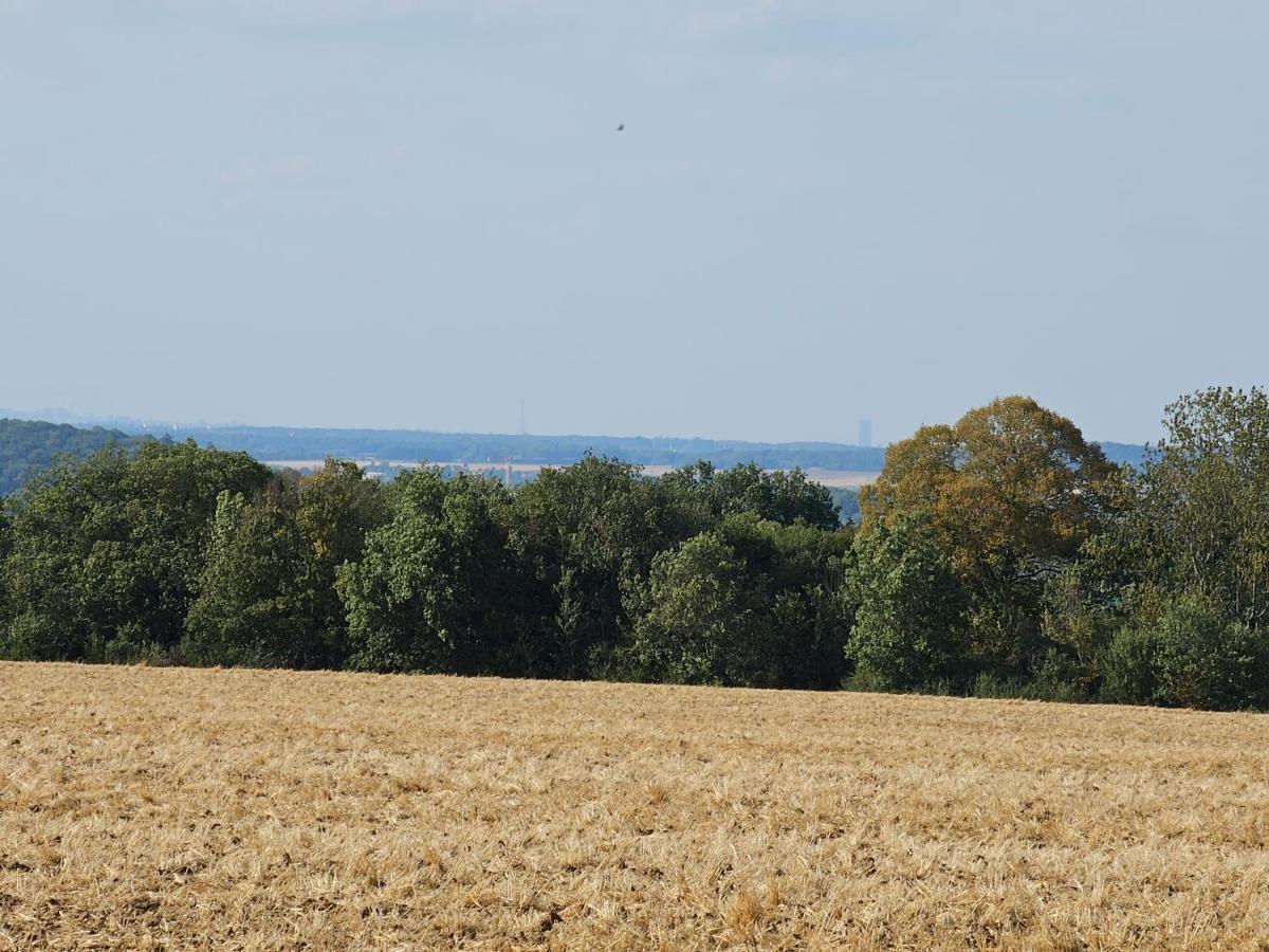 La Cle Des Champs Villa Videlles Bagian luar foto